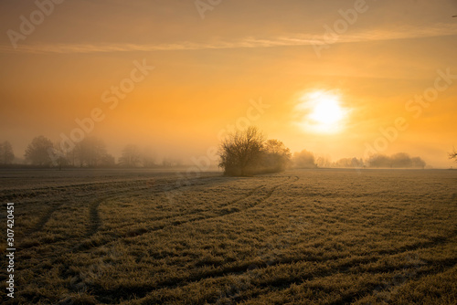 Nebeliger Wintermorgen in den Rheinauen bei Kappel-Grafenhuasen in der Ortenau © Tanja Voigt 