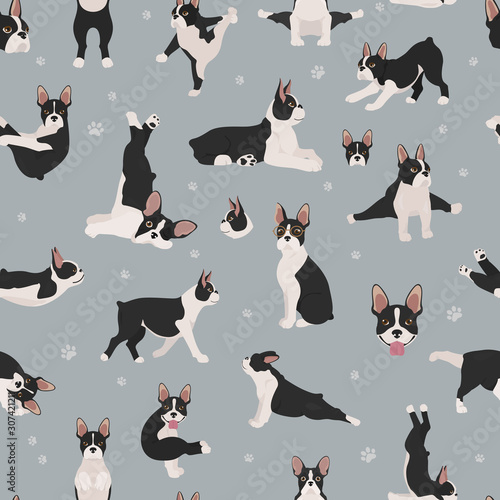 Boston terrier seamless pattern. Dog healthy silhouette and yoga poses background
