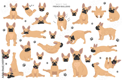 French bulldog clipart. Dog healthy silhouette and yoga poses set