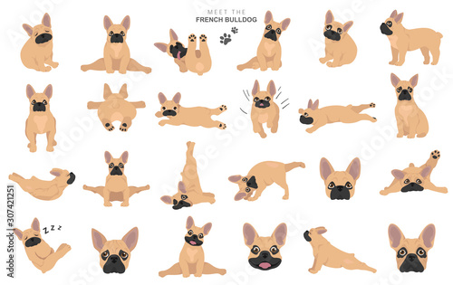 French bulldog clipart. Dog healthy silhouette and yoga poses set photo
