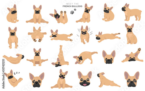 French bulldog clipart. Dog healthy silhouette and yoga poses set
