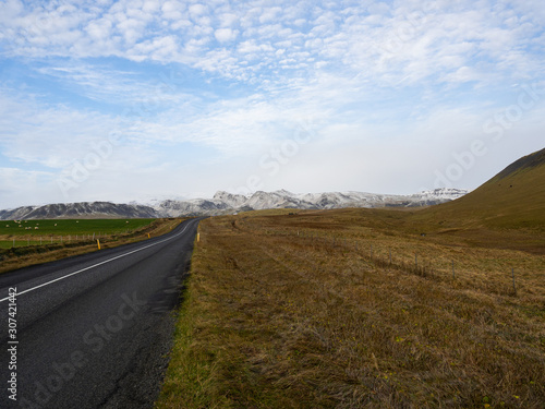 A panorama of a road in Iceland, with sheeps grazing on a green field and a some white mountains in the background. A quiet road trip. South of Iceland.