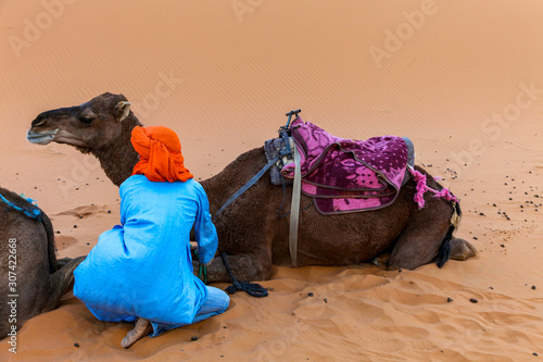 A Bedouin man prepares his camels for the trek ahead photo