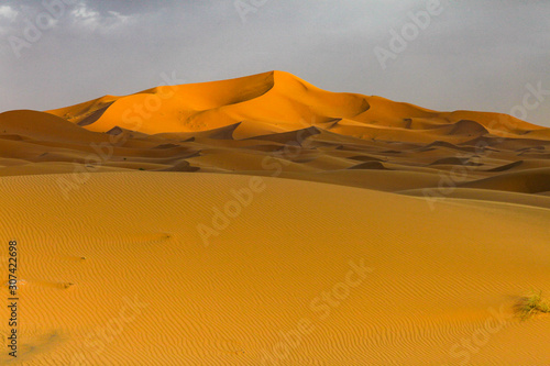 Fototapeta Naklejka Na Ścianę i Meble -  sand dunes in the desert