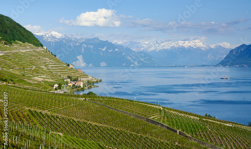 Lavaux, Vineyard Terraces and magnificent landscapes of Lake Geneva. Snowy peaks of the Alps mountains. French Switzerland, Lausanne, Canton Vaud. Summer 2019.
