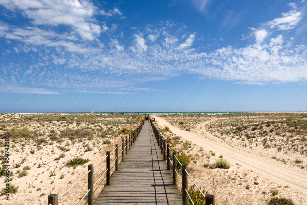 the Ria Formosa Natural Park, Armona Island, Algarve, Portugal the Ria Formosa Natural Park, Armona Island, Algarve, Portugal