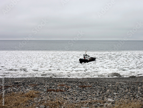 Sea tug goes to shore through broken ice.