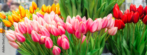 Photography Bunches of beautiful tulip flowers for sale in a flower market