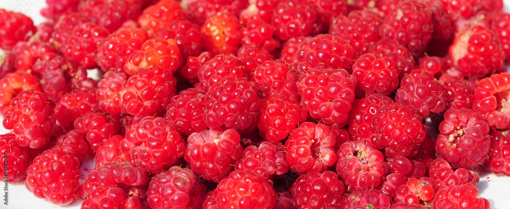 Raspberries panorama photo, Raspberry Isolated on White Background Raspberries panorama photo, Raspberry Isolated on White Background