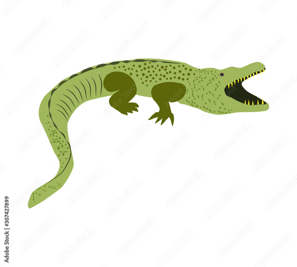 Australian animals. Vector illustration in flat style.The main symbols of the country. Australian animals. Vector illustration in flat style.The main symbols of the country.