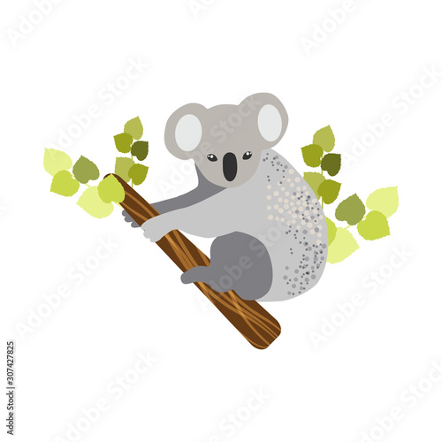 Australian animals. Vector illustration in flat style.The main symbols of the country. photo