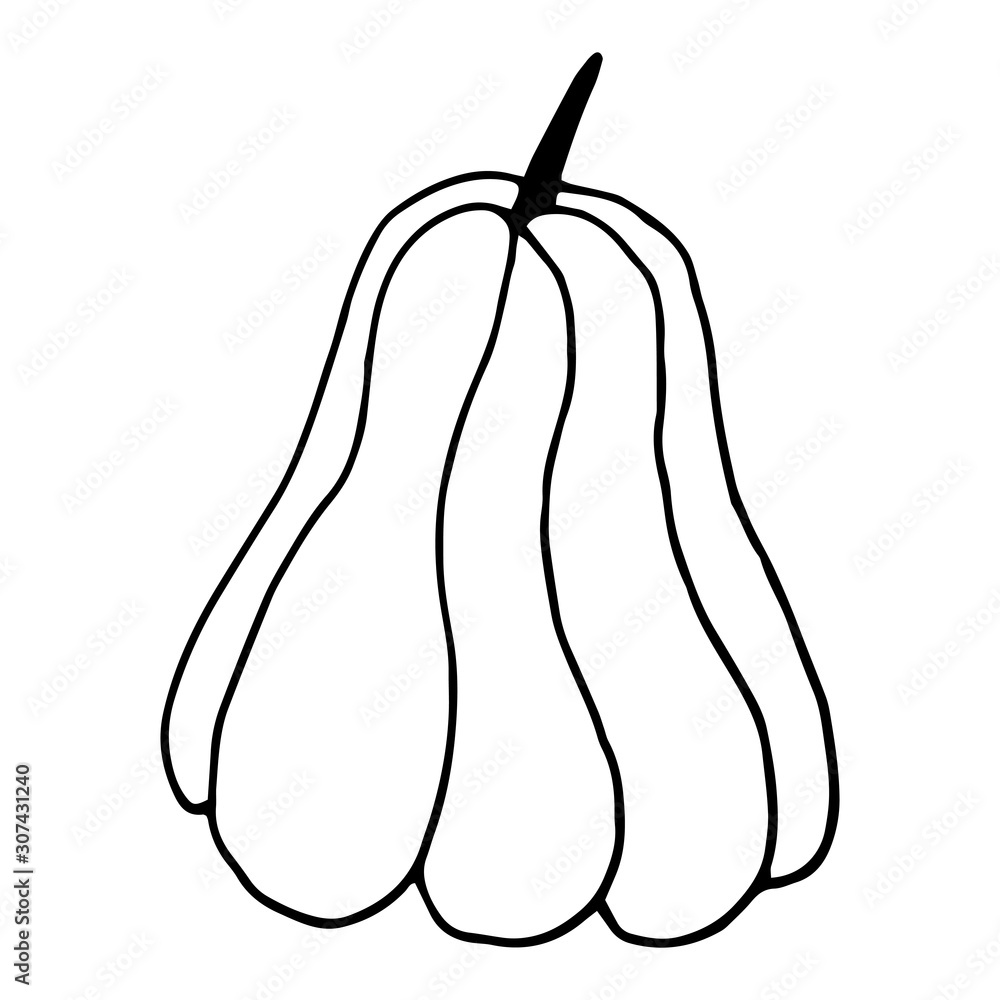 Pumpkin in doodle style on isolated white background. Thanksgiving Day, Halloween pumpkin icon. Vector autumn illustration. Decoration element. Vegetarian product. Black outline hand drawn. Pumpkin in doodle style on isolated white background. Thanksgiving Day, Halloween pumpkin icon. Vector autumn illustration. Decoration element. Vegetarian product. Black outline hand drawn.