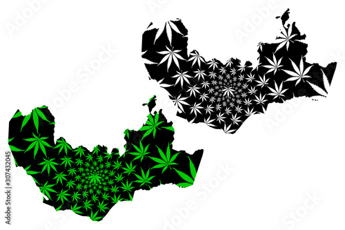 Namangan Region (Republic of Uzbekistan, Regions of Uzbekistan) map is designed cannabis leaf green and black, Namangan viloyati map made of marijuana (marihuana,THC) foliage.... photo