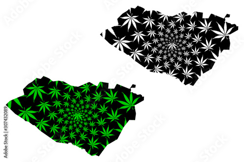 Qashqadaryo Region (Republic of Uzbekistan, Regions of Uzbekistan) map is designed cannabis leaf green and black, Qashqadaryo map made of marijuana (marihuana,THC) foliage.... photo