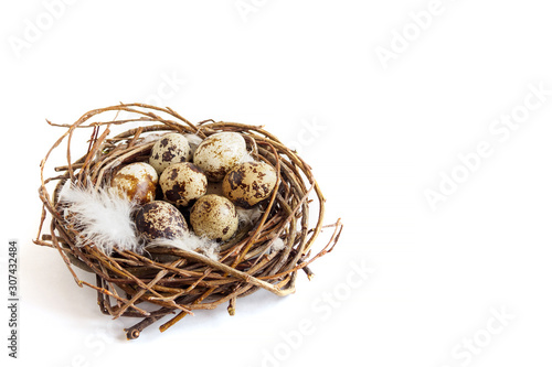 Quail eggs with feathers in nest on white background. Easter concept, copy space for text, selective focus