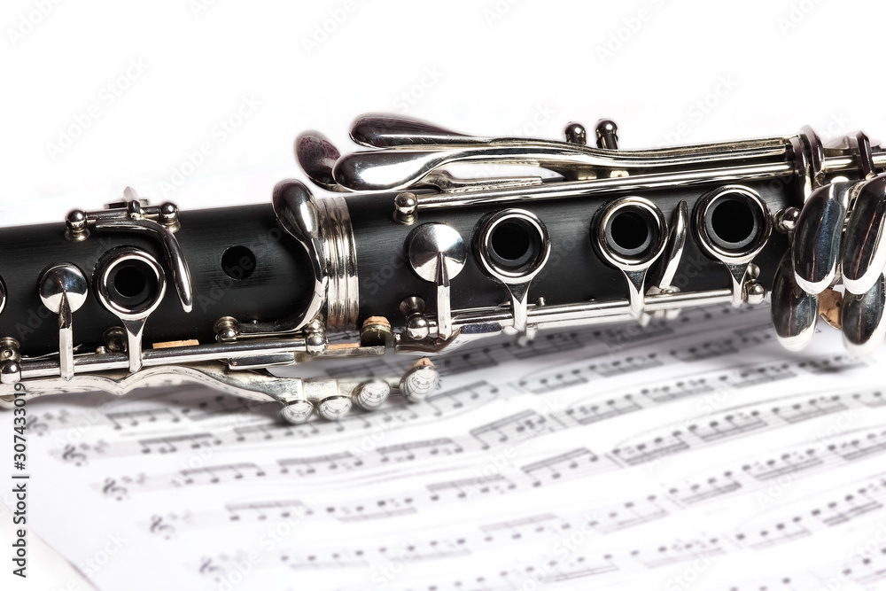 Obraz premium clarinet on a white background