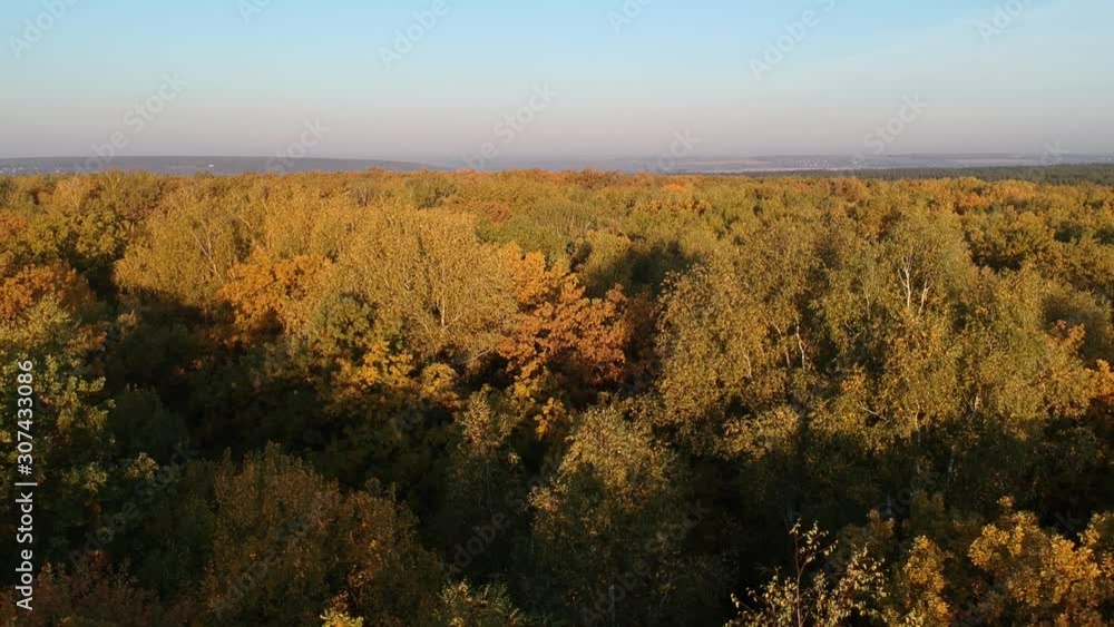 Autumn forest. Shooting from the drone. Autumn forest. Shooting from the drone.