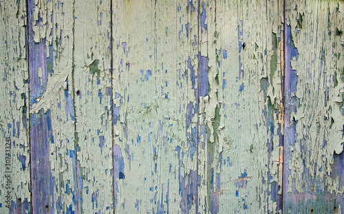 Worn old pine vertical wooden boards with scratches and peeling light green paint. Abstract wooden background.