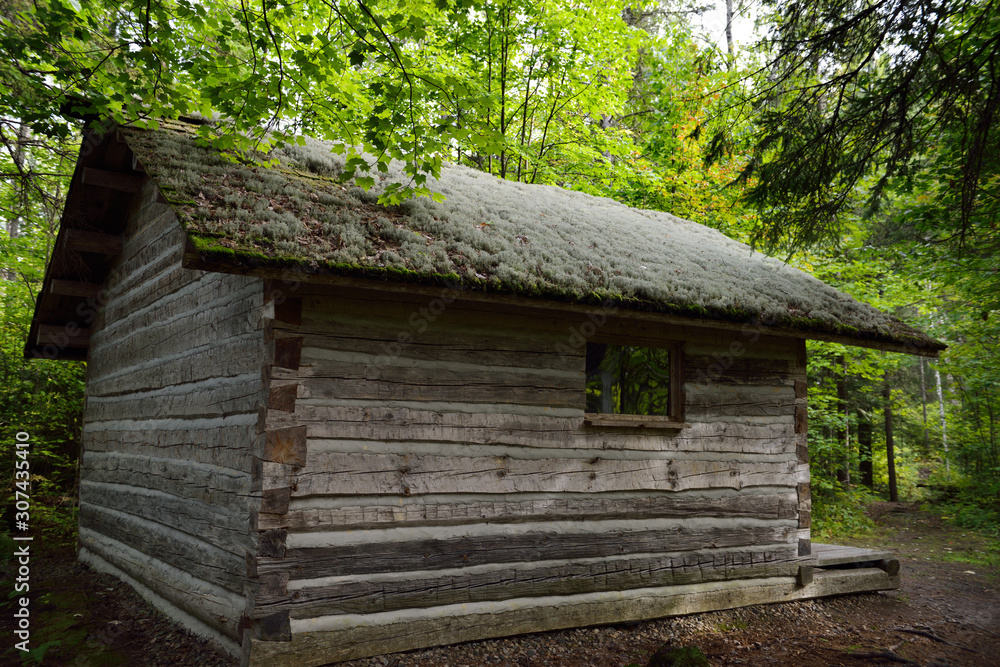 Moss covered roof of historic log cabin at Eau Claire Gorge Conservation Area on forest trail Moss covered roof of historic log cabin at Eau Claire Gorge Conservation Area on forest trail