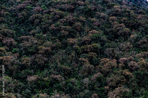 Ruta del Roble, Santander, Boyacá, Colombia