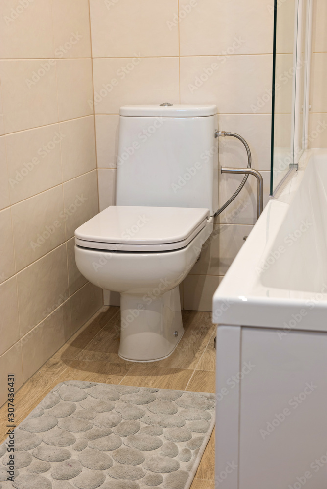 Fragment with wc in luxury apartment Fragment with wc in luxury apartment