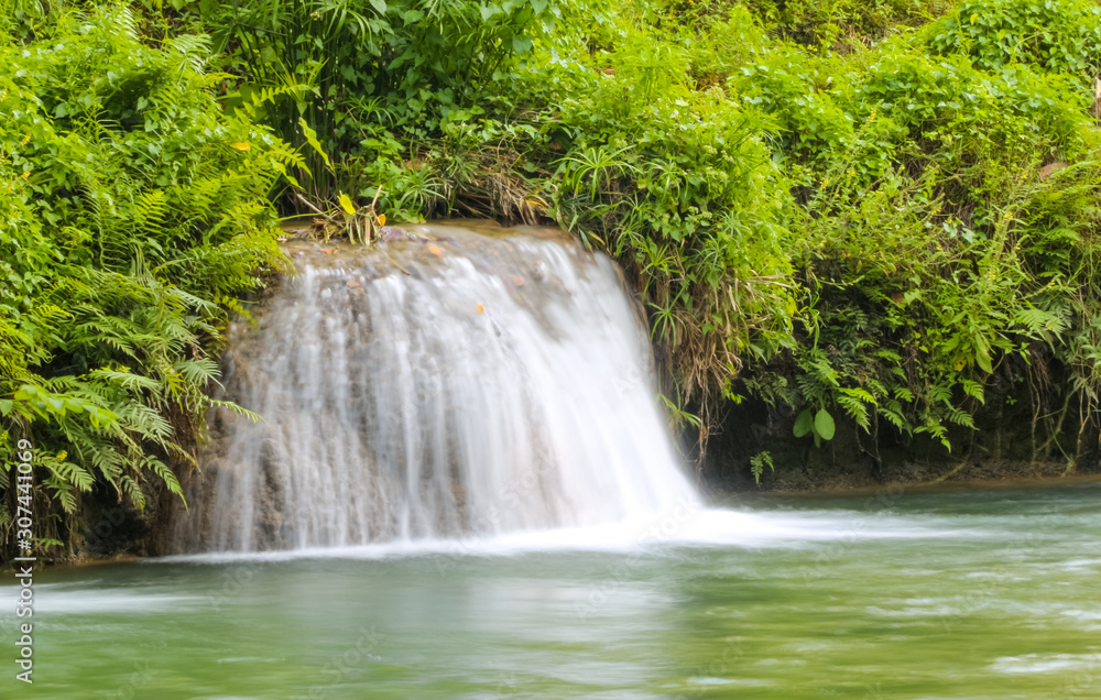 small waterfall in the forest