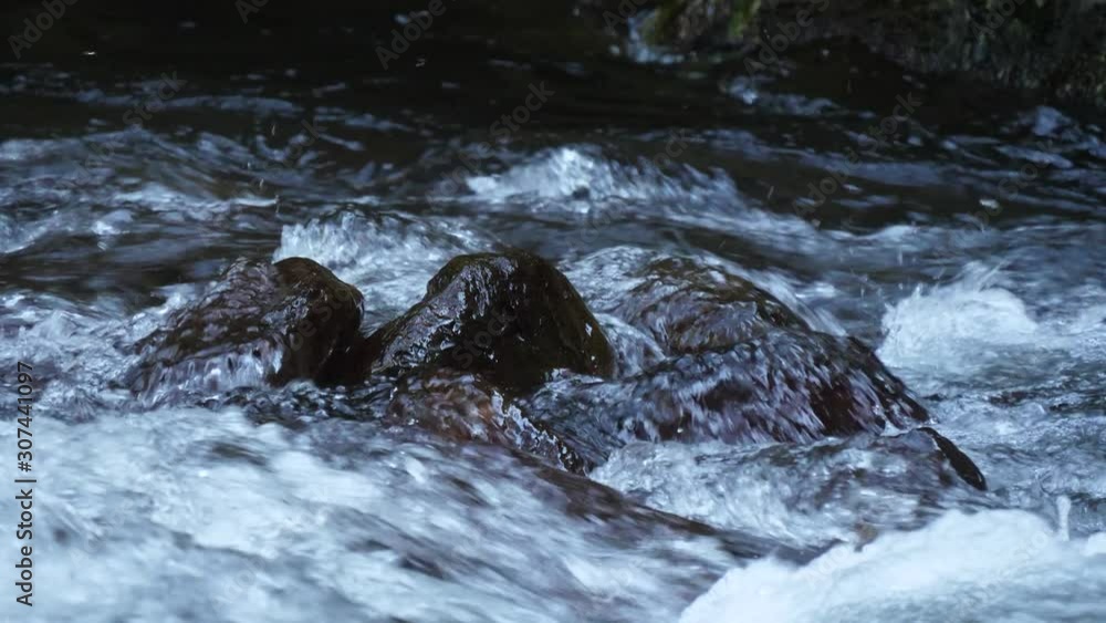 beautiful crystal water river stream in forest 4k beautiful crystal water river stream in forest 4k