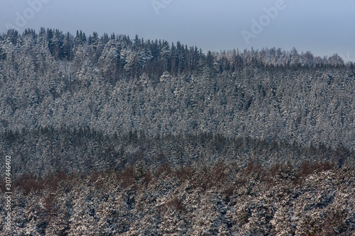 winter landscape. frosty fresh air on a mountain lake. clear snow, pines and trees on the mountainous shore. background for layout with free space