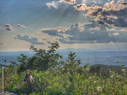 Stunning Blue Ridge Mountains overlook photo