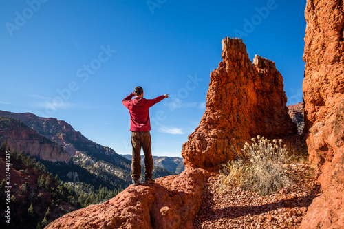 Man in red jacket among red rock hoodoos pointing down desert canyon.