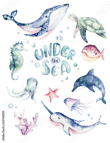 Obraz na płótnie Zestaw plakat zwierząt morskich. Niebieska ryba ocean akwarela, żółw, wieloryb i koral. Tło akwarium muszli. Ilustracja morskich delfinów morskich morskich, meduzy, rozgwiazdy