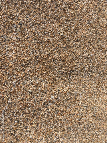 sable