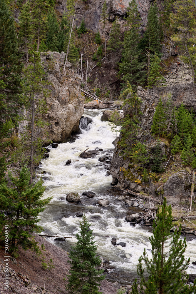 View of the Gibbon River in Yellowstone National Park View of the Gibbon River in Yellowstone National Park