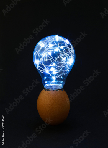 christmas decorations, grilandes, father christmas, lighting