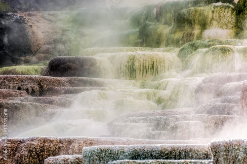 Mammoth Hot Springs