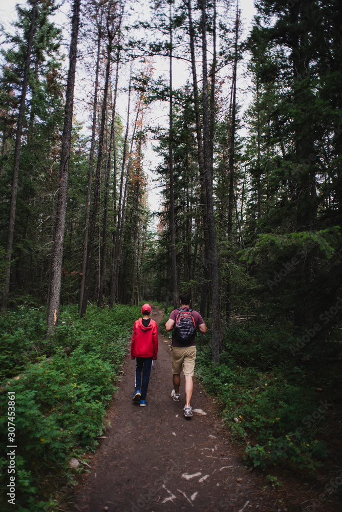Father and son hiking on a path through an evergreen forest together. Father and son hiking on a path through an evergreen forest together.
