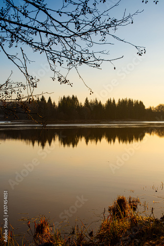 Sunrise by the lake. Forest reflection