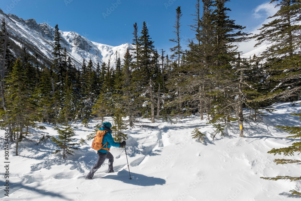 A young woman hiking on a sunny, snowy winter day in the White Mountains of New Hampshire. A young woman hiking on a sunny, snowy winter day in the White Mountains of New Hampshire.
