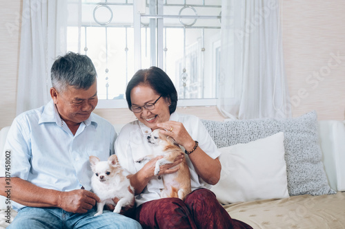 Asian senior couple holding the dogs on the couch at thire house photo