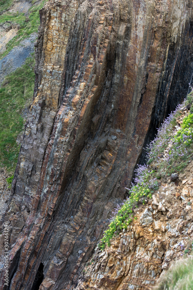 Vertical rock formation near Bude