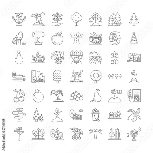 Trees line icons, signs, symbols vector, linear illustration set