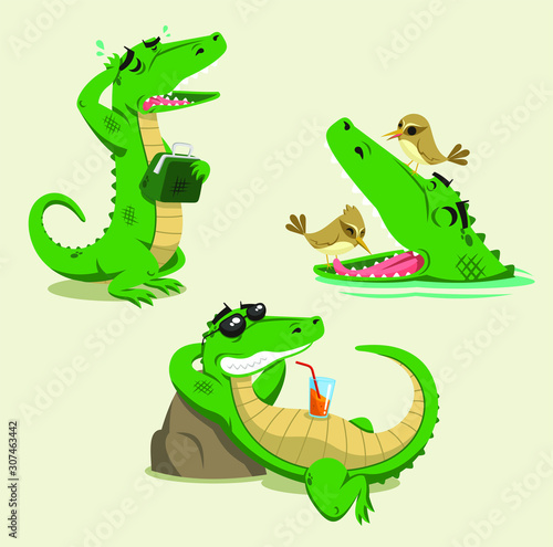 Crocodile set