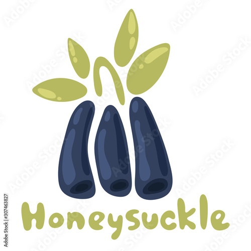 Honeysuckle icon. Vector isolated berry. Woodbind species. Bunch of honeysuckle plant with leaves. Design for jam dessert , fresh juice label, grocery store and farm market
