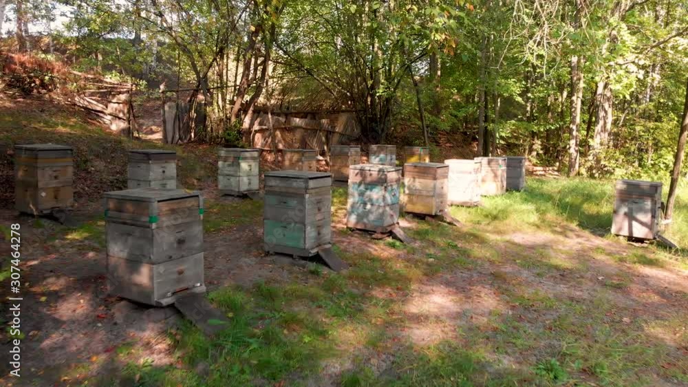 Aerial flying over a small bee apiary. There are small houses in which bees live and make honey. Aerial shot taken by drone Aerial flying over a small bee apiary. There are small houses in which bees live and make honey. Aerial shot taken by drone