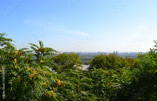 landscape with trees and blue sky