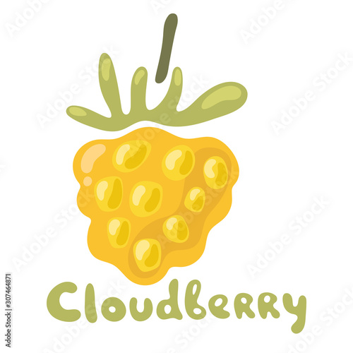 Orange cloudberry berry flat icon with inscription. Single Cloudberry with Leaves. Colorful Icon vector illustration of eco food isolated on white.