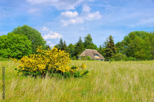 Ummanz Freesenort im frühling - Freesenort on island Ummanz in spring photo