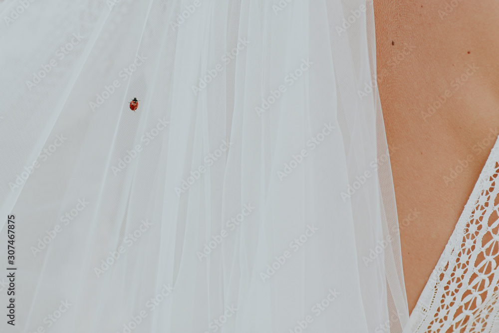 Coccinelle sur le voile de la mariée Coccinelle sur le voile de la mariée