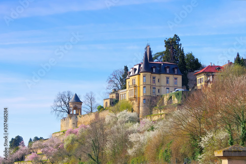 Haardter Schloss w  hrend der Mandelbl  te im Fr  hling - Haardter castle during the almond blossom in spring