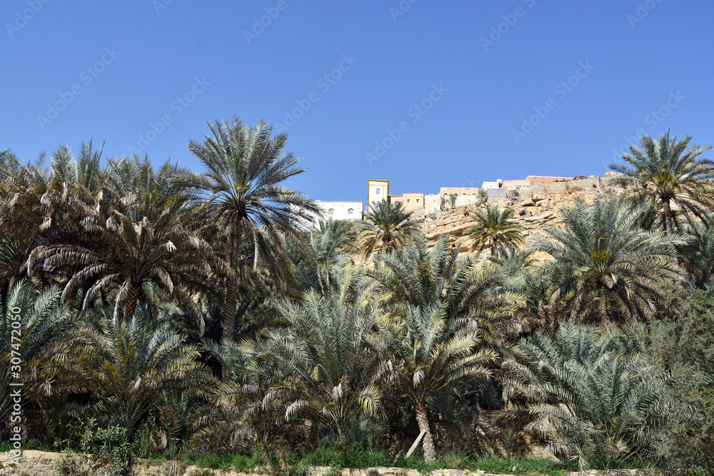 SultSultanate of Oman, Wadi Bani Khalid, Bada Village